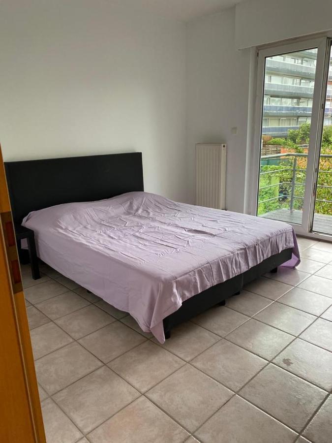 Superbe Appartement Lumineux Et Spacieux アントウェルペン エクステリア 写真