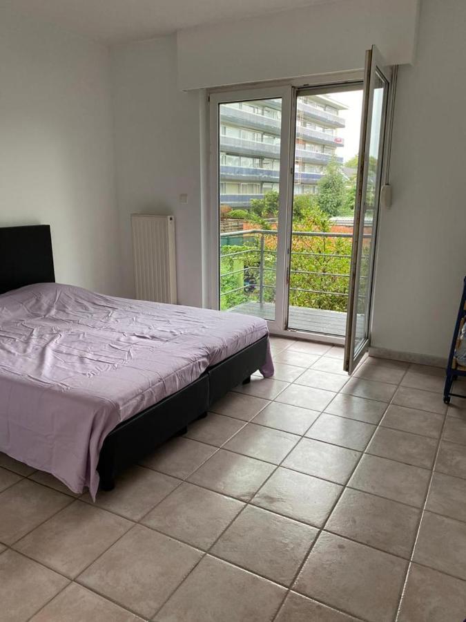 Superbe Appartement Lumineux Et Spacieux アントウェルペン エクステリア 写真